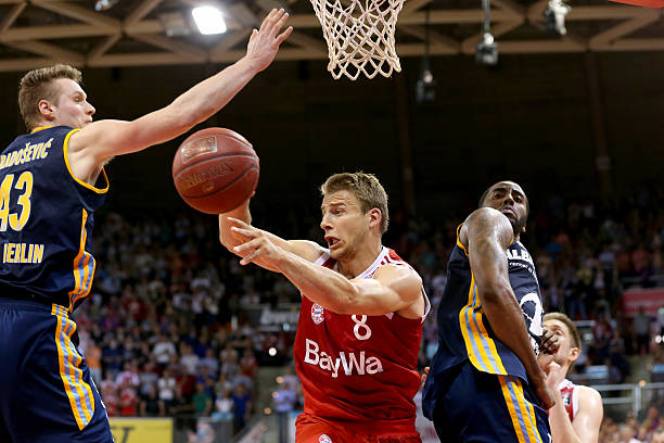 引了许多高 引了许多高